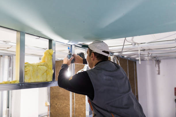 Best Insulation Maintenance and Repair in Marianna, FL